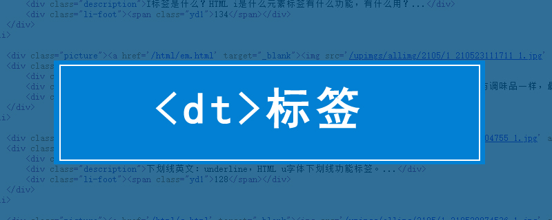 dt 标签元素