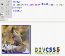 DIV CSS图片_CSS img