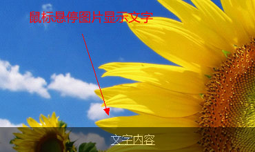 DIV CSS鼠标经过悬停时图片上方显示文字