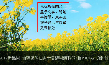 鼠标悬停图片上文字背景半透明