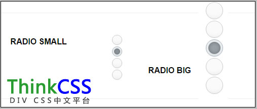 html css单选框美化效果截图