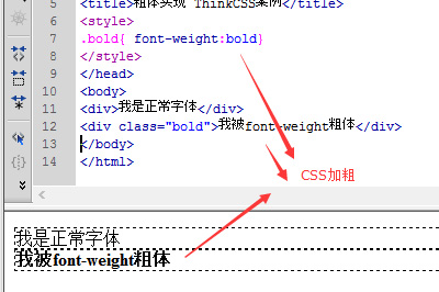 css样式font-weight粗体用法案例截图